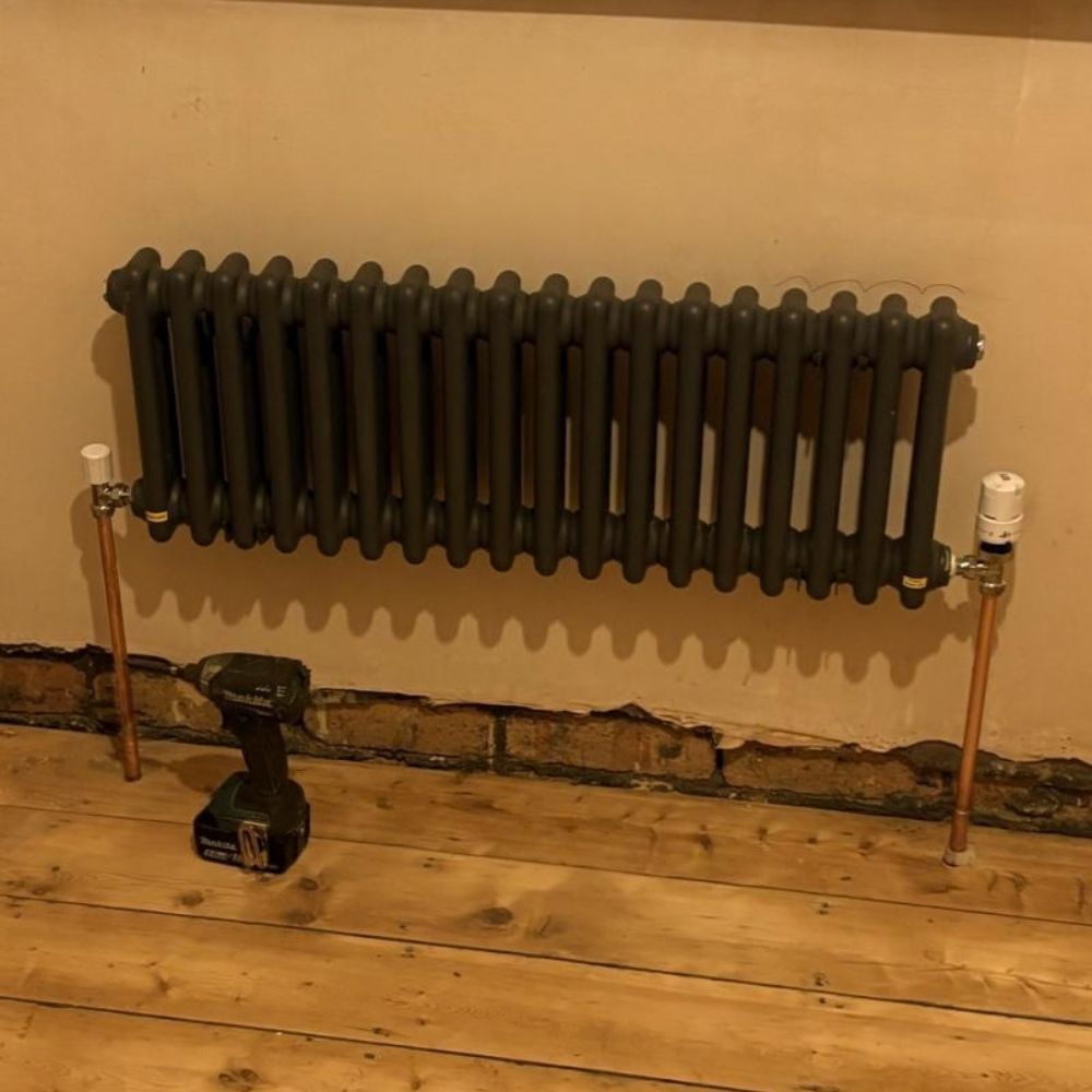 Black traditional horizontal double column radiator