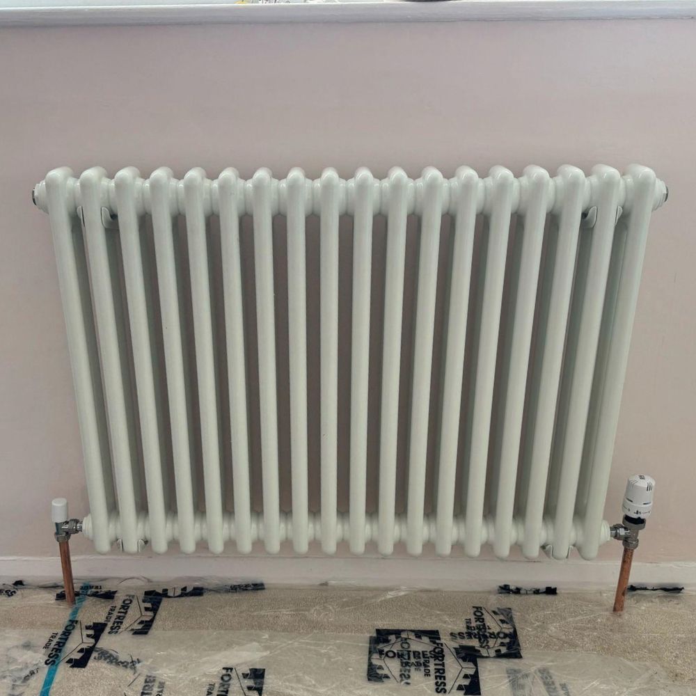 White traditional horizontal double column radiator