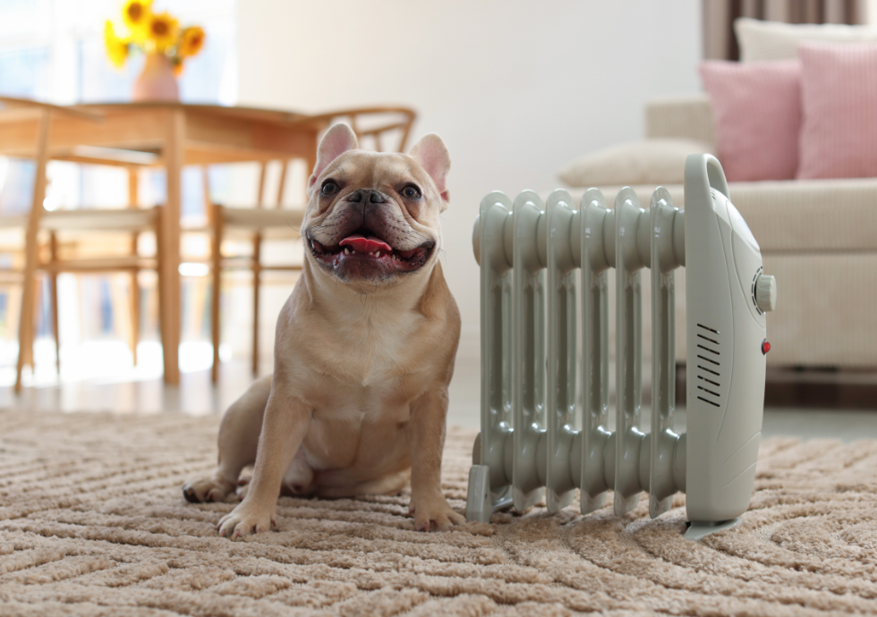 A dog next to a radiator